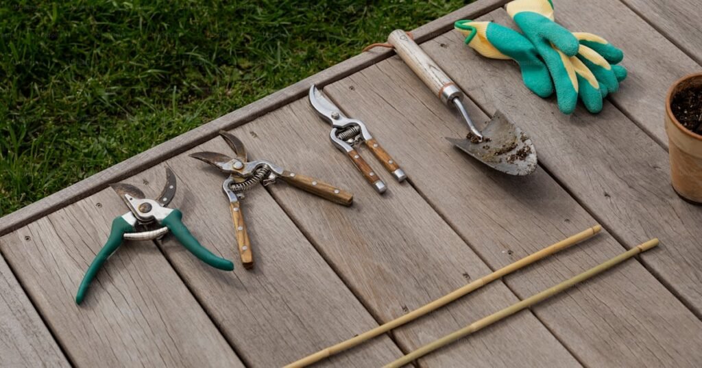 kit básico de jardinagem para iniciantes