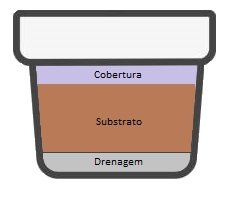 kit básico de jardinagem vaso
